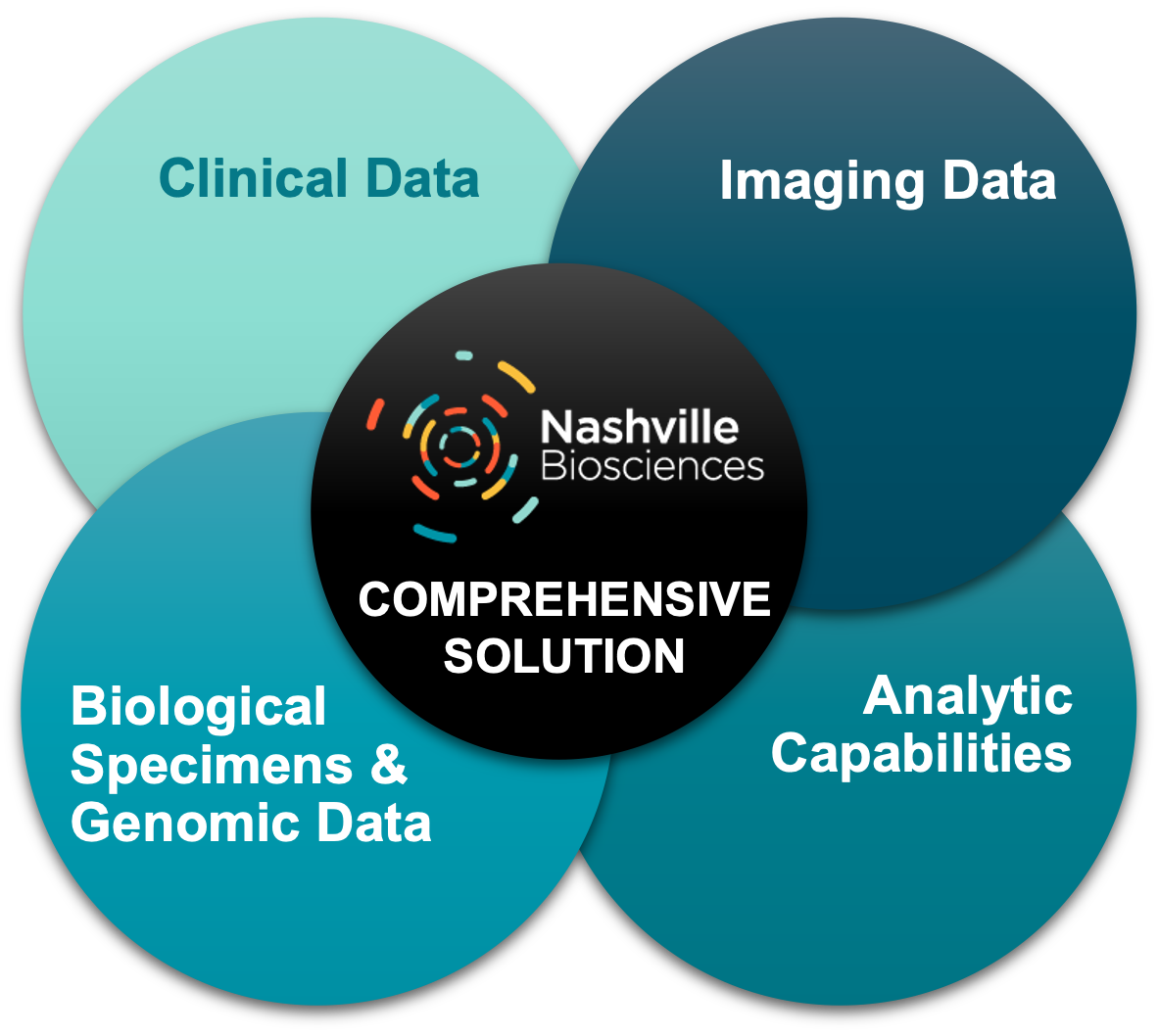 Nashville Analytics, LLC